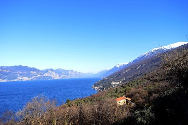 Villa Mery Torri Del Benaco Exterior foto